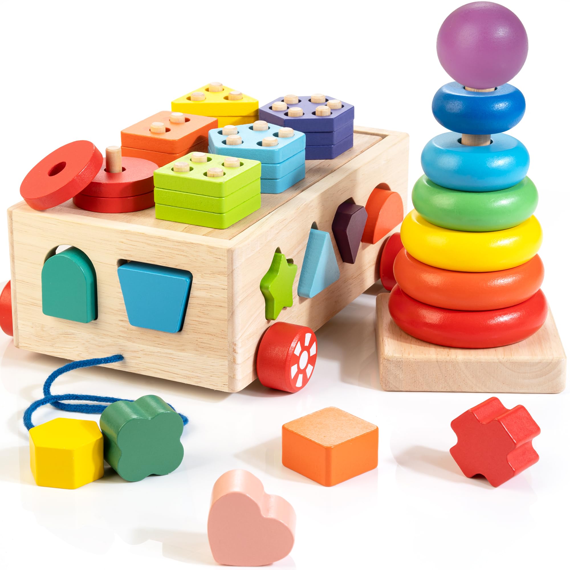 Montessori Toy 